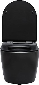 Унитаз подвесной Aquanet Rimless Cetus-BW BL-102N-WHT с крышкой микролифт, безободковый купить в интернет-магазине Sanbest