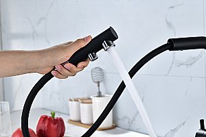 Смеситель для кухни Paulmark Serpentine Se213222-AN антрацит купить в интернет-магазине сантехники Sanbest