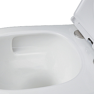 Унитаз подвесной Azario ADAGIO AZ-5177T-WHT белый, безободковый, с крышкой микролифт, слив торнадо купить в интернет-магазине Sanbest