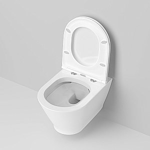 Унитаз подвесной Ambassador Elysium 183K19002RS безободковый, с крышкой микролифт, белый купить в интернет-магазине Sanbest