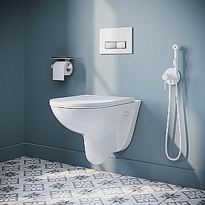 Унитаз подвесной Iddis Zodiac ZDCRDSEi25 безободковый, с крышкой микролифт купить в интернет-магазине Sanbest