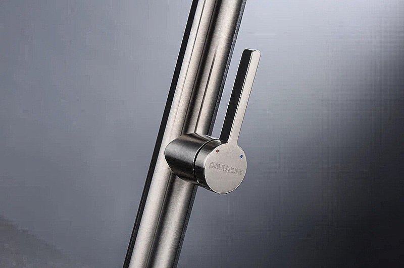 Смеситель для кухни Paulmark Leader Le214101-BS брашированная сталь купить в интернет-магазине сантехники Sanbest