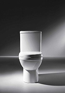 Унитаз напольный Bravat New Moon с бачком, с крышкой микролифт купить в интернет-магазине Sanbest