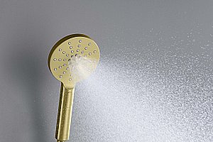 Душевая лейка Aquatek Оберон AQ2006BG золото шлифованное купить в интернет-магазине сантехники Sanbest