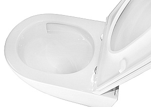 Унитаз подвесной Azario Trevi AZ-0093UQ3 белый, безободковый, с крышкой микролифт, слив торнадо купить в интернет-магазине Sanbest