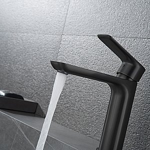 Смеситель для раковины Black&White Universe UK8302B купить в интернет-магазине сантехники Sanbest