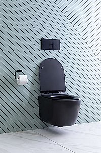 Унитаз подвесной Aquanet Rimless Cetus-BW BL-102N-WHT с крышкой микролифт, безободковый купить в интернет-магазине Sanbest