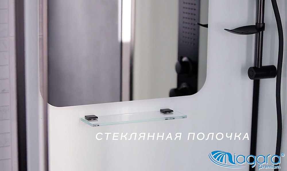 Душевая кабина Niagara Premium NG- 6902-01Q BLACK 100x100 купить в интернет-магазине Sanbest