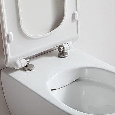 Унитаз подвесной SSWW CT2039V безободковый, с крышкой микролифт купить в интернет-магазине Sanbest