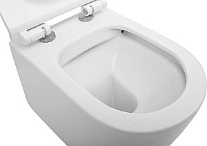 Подвесной унитаз Aquanet Rimless Atago-W BL-104N-WHT с крышкой микролифт, безободковый купить в интернет-магазине Sanbest