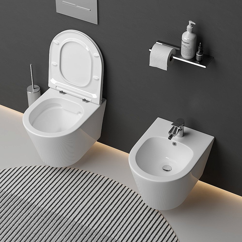 Биде подвесное Ceramica Nova FORMA CN3012 купить в интернет-магазине Sanbest