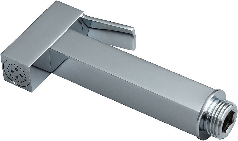 Гигиенический душ Allen Brau Infinity 5.21A05-00 хром купить в интернет-магазине сантехники Sanbest
