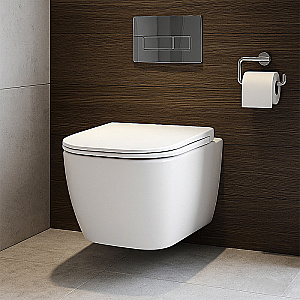 Унитаз подвесной Azario Riano AZ-2808E белый, безободковый, с крышкой микролифт, слив торнадо купить в интернет-магазине Sanbest