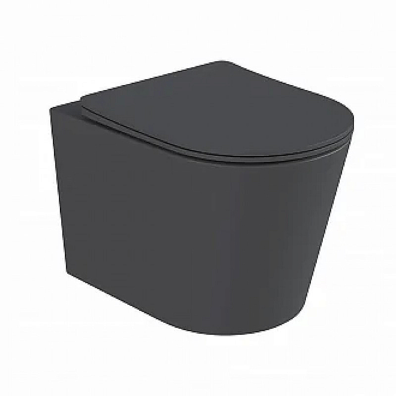 Унитаз подвесной BAS ROUND DARK GREY безободковый, с крышкой микролифт, темно-серый купить в интернет-магазине Sanbest