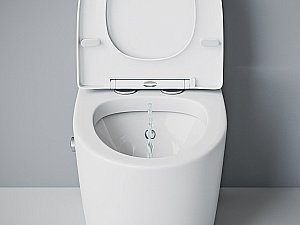 Унитаз-моноблок с функцией биде Laguraty 2100AC с крышкой микролифт купить в интернет-магазине Sanbest