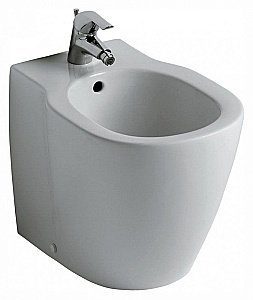 Биде напольное Ideal Standard Connect E799501 купить в интернет-магазине Sanbest