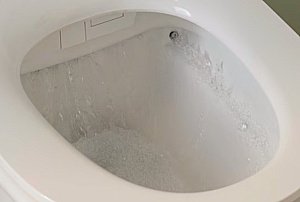 Унитаз подвесной Jacob Delafon Seine E34360-00 безободковый, с крышкой-биде и пультом управления, с инсталляцией, белый/кнопка белая глянцевая купить в интернет-магазине Sanbest