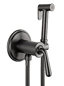 Смеситель с гигиеническим душем встраиваемый WONZON & WOGHAND STEAM, Темный графит (WW-88829008-BGM) купить в интернет-магазине сантехники Sanbest