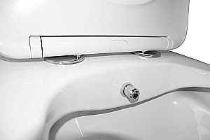 Унитаз моноблок с функцией биде Azario Lodi AZ-8617B белый, безободковый, с крышкой микролифт купить в интернет-магазине Sanbest