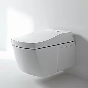 Унитаз TOTO NEOREST AC CW996PVD#NW1 безободковый, слив торнадо купить в интернет-магазине Sanbest