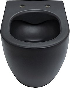 Унитаз подвесной Allen Brau Reality 4.32006.31 черный матовый, безободковый, с крышкой микролифт купить в интернет-магазине Sanbest