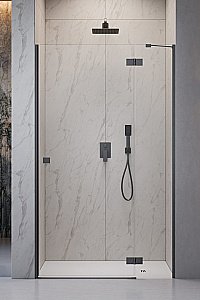 Душевая дверь Radaway Essenza 8 Brushed GunMetal DWJ 120 R стекло прозрачное/профиль брашированная оружейная сталь купить в интернет-магазине Sanbest