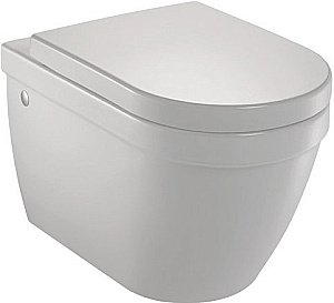 Унитаз подвесной Jacob Delafon RODIN EDC102-00 купить в интернет-магазине Sanbest