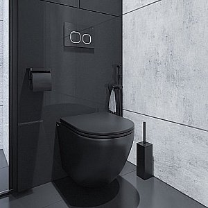 Унитаз подвесной IDDIS Blanco BLAR3BMi25 безободковый, с крышкой микролифт купить в интернет-магазине Sanbest