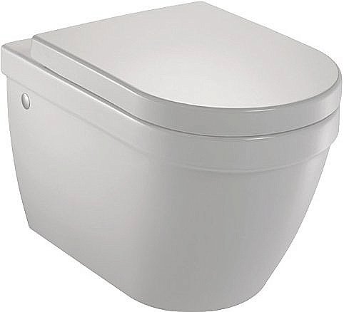 Унитаз подвесной Jacob Delafon RODIN EDC102-00 купить в интернет-магазине Sanbest