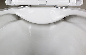 Унитаз подвесной Azario Pro PRO-0002 белый, безободковый, с крышкой микролифт купить в интернет-магазине Sanbest