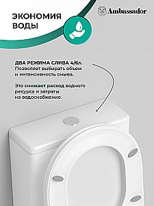 Унитаз Ambassador Elysium 187K19001RS безободковый, с бачком, с крышкой микролифт, белый купить в интернет-магазине Sanbest