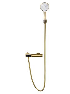 Смеситель для душа с встроенным изливом WONZON & WOGHAND MUSE Corno, Брашированное золото (WW-A30902-BG) купить в интернет-магазине сантехники Sanbest