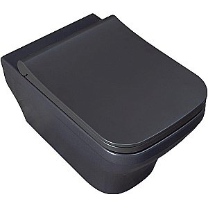 Унитаз подвесной Allen Brau Infinity 2 4.21011.AN антрацит матовый, безободковый купить в интернет-магазине Sanbest