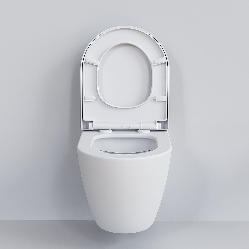 Унитаз подвесной Ambassador Queen 113T20101R матовый купить в интернет-магазине Sanbest