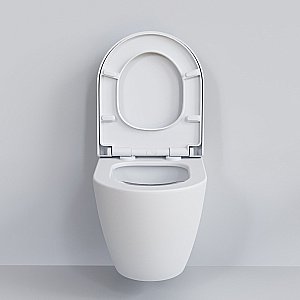 Унитаз подвесной Ambassador Queen 113T20101R матовый купить в интернет-магазине Sanbest