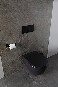 Унитаз подвесной Allen Brau Reality 4.32006.31 черный матовый, безободковый, с крышкой микролифт купить в интернет-магазине Sanbest