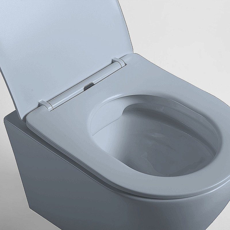 Унитаз Vincea Globo VT1-14SMO безободковый, с крышкой микролифт, океан матовый купить в интернет-магазине Sanbest