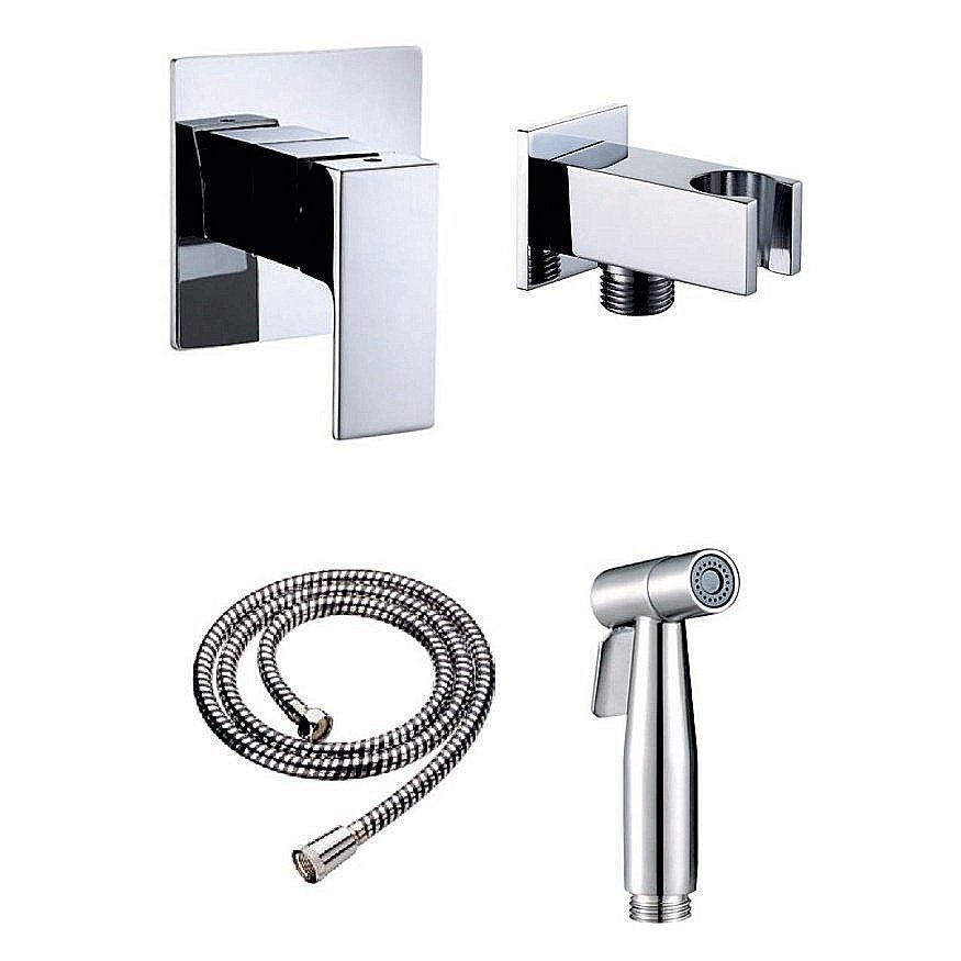 Душевой набор Aquanet B1 купить в интернет-магазине сантехники Sanbest