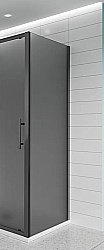 Боковая стенка Veconi Evo E-SP-B-120-12-C9 120х195 стекло тонированное матовое/профиль черный матовый купить в интернет-магазине сантехники Sanbest