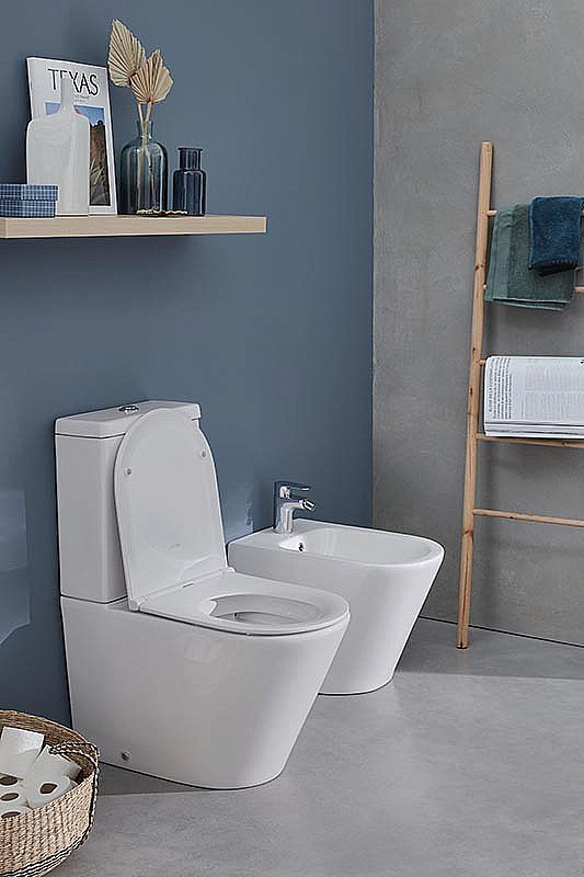 Биде напольное Jacob Delafon Rodin+ EBJ0002-00 белое купить в интернет-магазине Sanbest