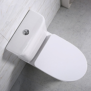 Унитаз-компакт напольный BelBagno Steam BB130CPR/SC+BB130T белый, безободковый, с крышкой микролифт, с бачком купить в интернет-магазине Sanbest