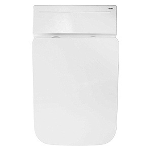 Унитаз подвесной Azario AZ-101C белый, безободковый, с крышкой микролифт купить в интернет-магазине Sanbest