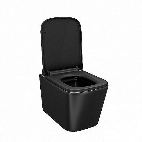 Унитаз подвесной IDDIS Bild BILR2BMi25 безободковый, с крышкой микролифт купить в интернет-магазине Sanbest