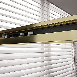 Душевая дверь Veconi Premium Trento PTD40-G-140-01-C4 прозрачная/профиль Брашированное золото брашированное купить в интернет-магазине Sanbest