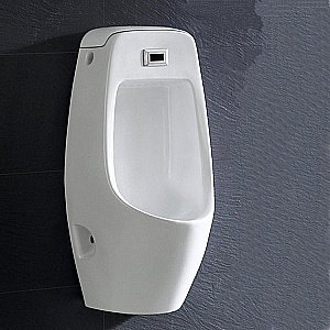 Писсуар Ceramalux Х546P купить в интернет-магазине Sanbest