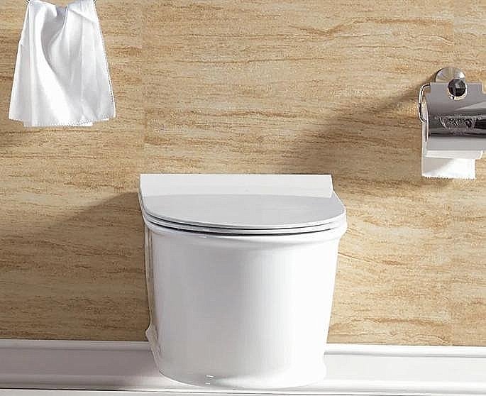 Унитаз подвесной SantiLine SL-5009 безободковый, с крышкой микролифт купить в интернет-магазине Sanbest