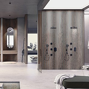 Смеситель для душа Bossini Apice Z00500.073 черный купить в интернет-магазине сантехники Sanbest