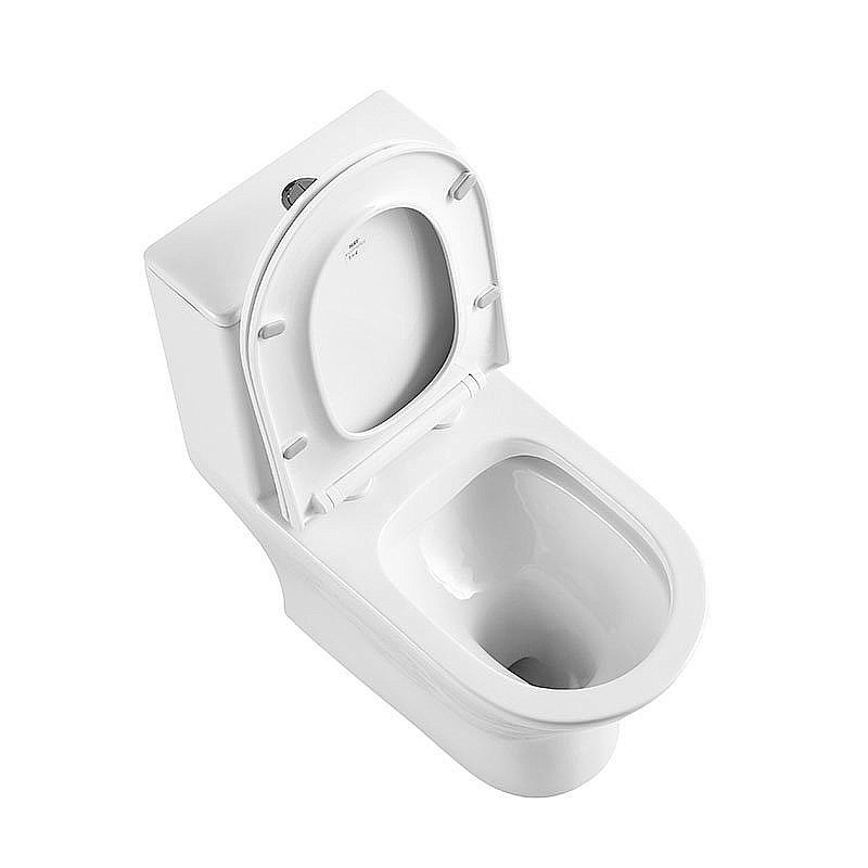 Унитаз-моноблок BelBagno LOUNGE BB8618CPR-MN/SC безободковый, с бачком, с крышкой микролифт купить в интернет-магазине Sanbest