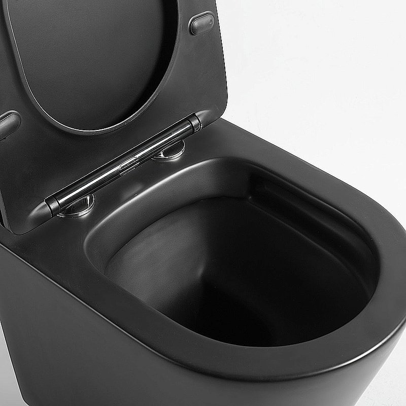 Унитаз Vincea Piatti VT1-11SMB безободковый, с крышкой микролифт, черный матовый купить в интернет-магазине Sanbest