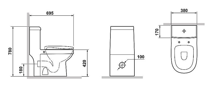 Унитаз-моноблок с функцией биде Laguraty 20980AWC с крышкой микролифт купить в интернет-магазине Sanbest